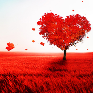Il Merito, Osho, Lao Tzu, Non Fare