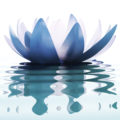 Meditazione, Osho, Attenzione, Trovare Dio Ovunque